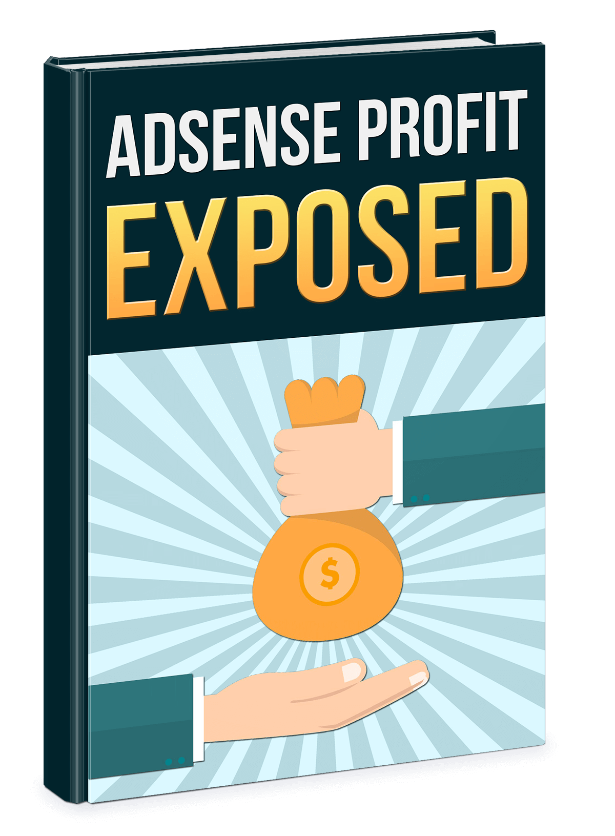 GOOGLE ADSENSE: HOW TO PROFIT
