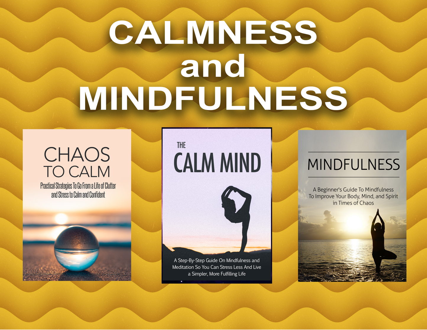 Biz-In-A-Box CALMNESS and MINDFULNESS