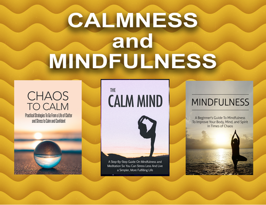 Biz-In-A-Box CALMNESS and MINDFULNESS