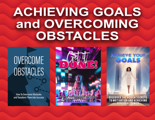 Biz-In-A-Box ACHIEVING GOALS and OVERCOMING OBSTACLES