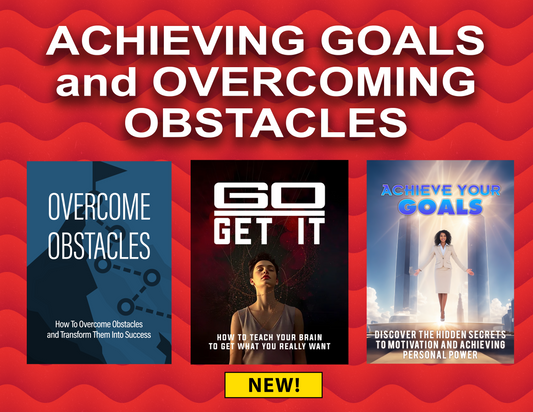 Biz-In-A-Box ACHIEVING GOALS and OVERCOMING OBSTACLES