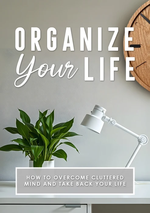 Biz-In-A-Box DISCIPLINE and FOCUS