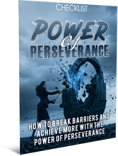 Load image into Gallery viewer, NEW: Power Of Perseverance
