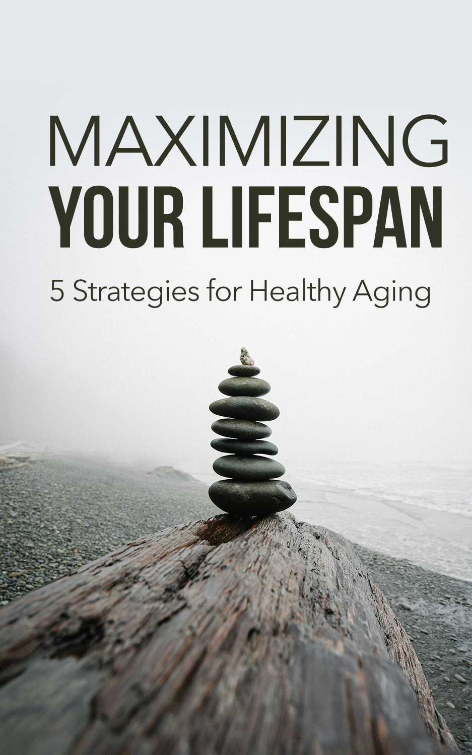 NEW! License - Living Your Longest Life