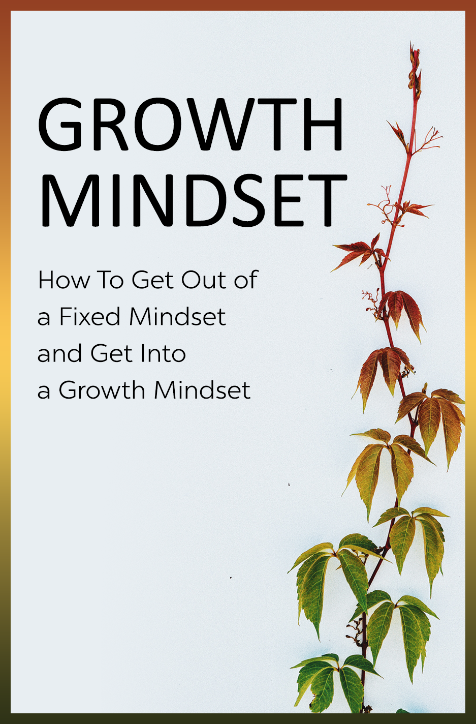 Biz-In-A-Box GROWTH and FORGIVENESS