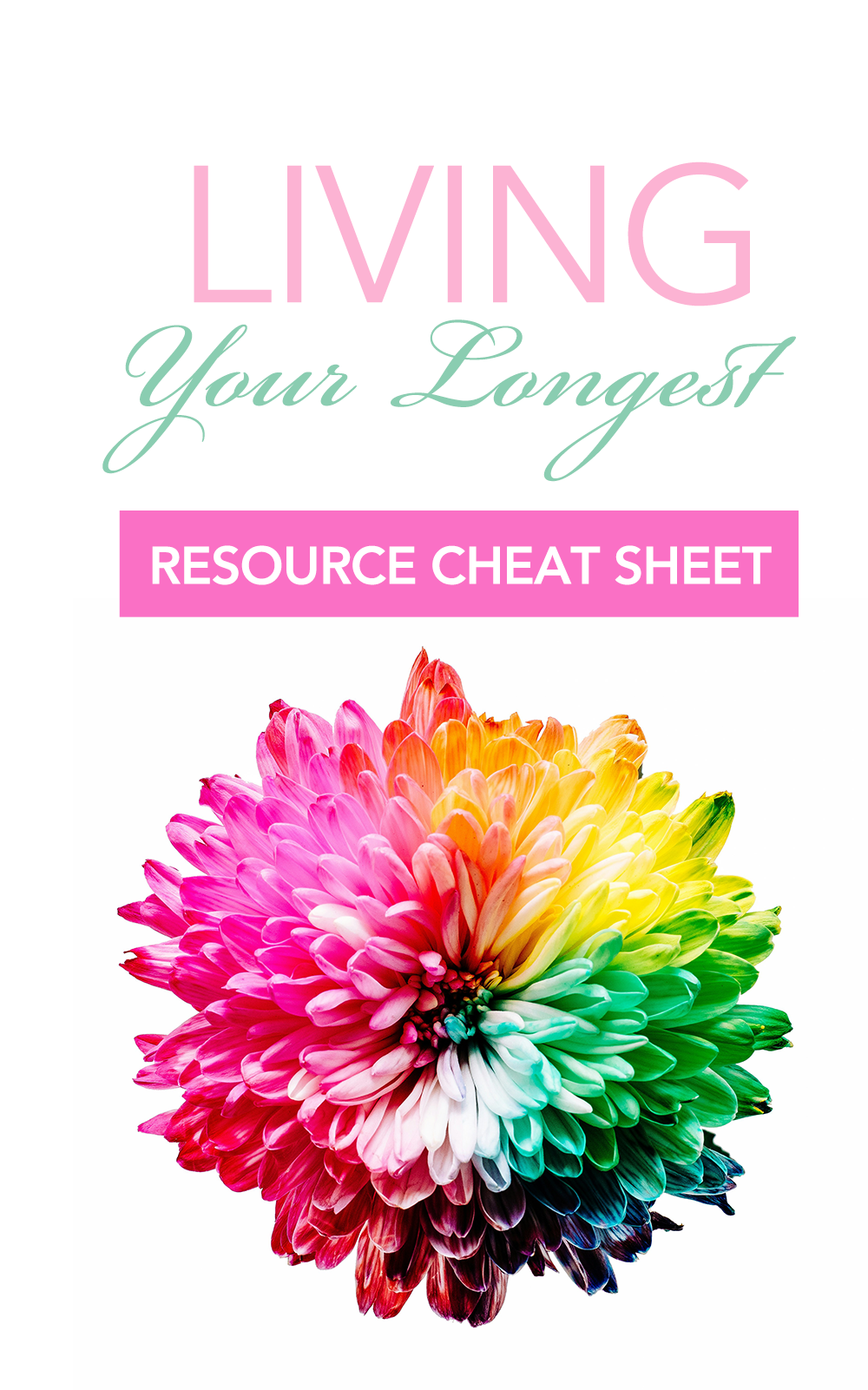 NEW! License - Living Your Longest Life