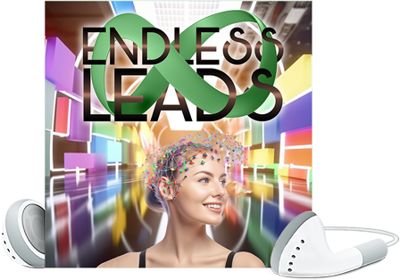 License - Endless Leads