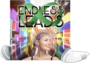 License - Endless Leads