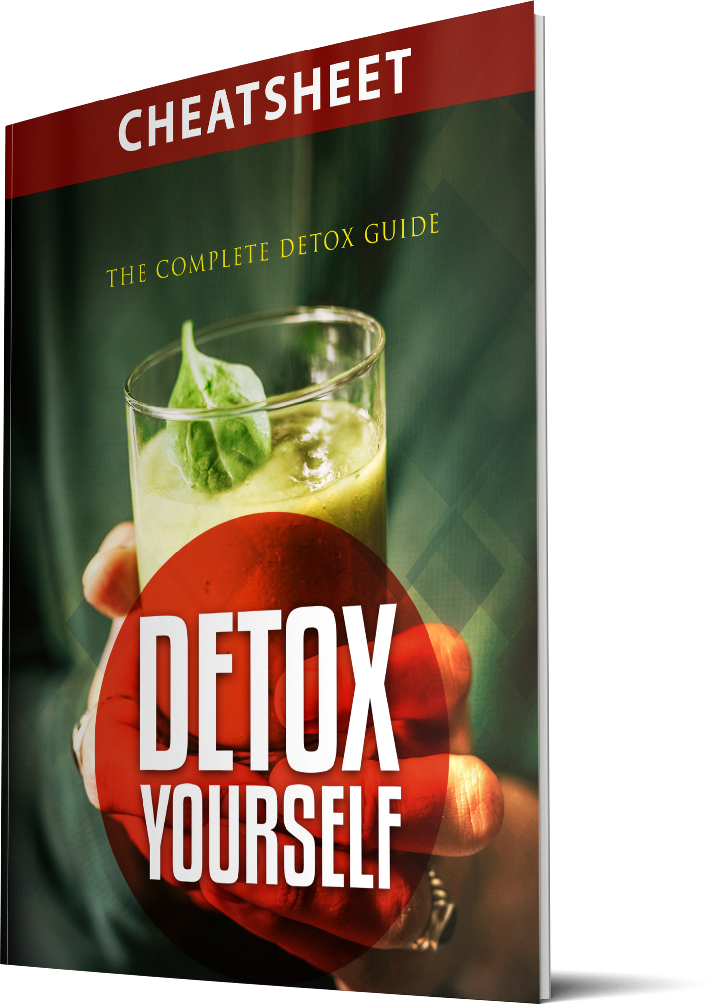 License - The Complete Detox Guide – Detox Yourself