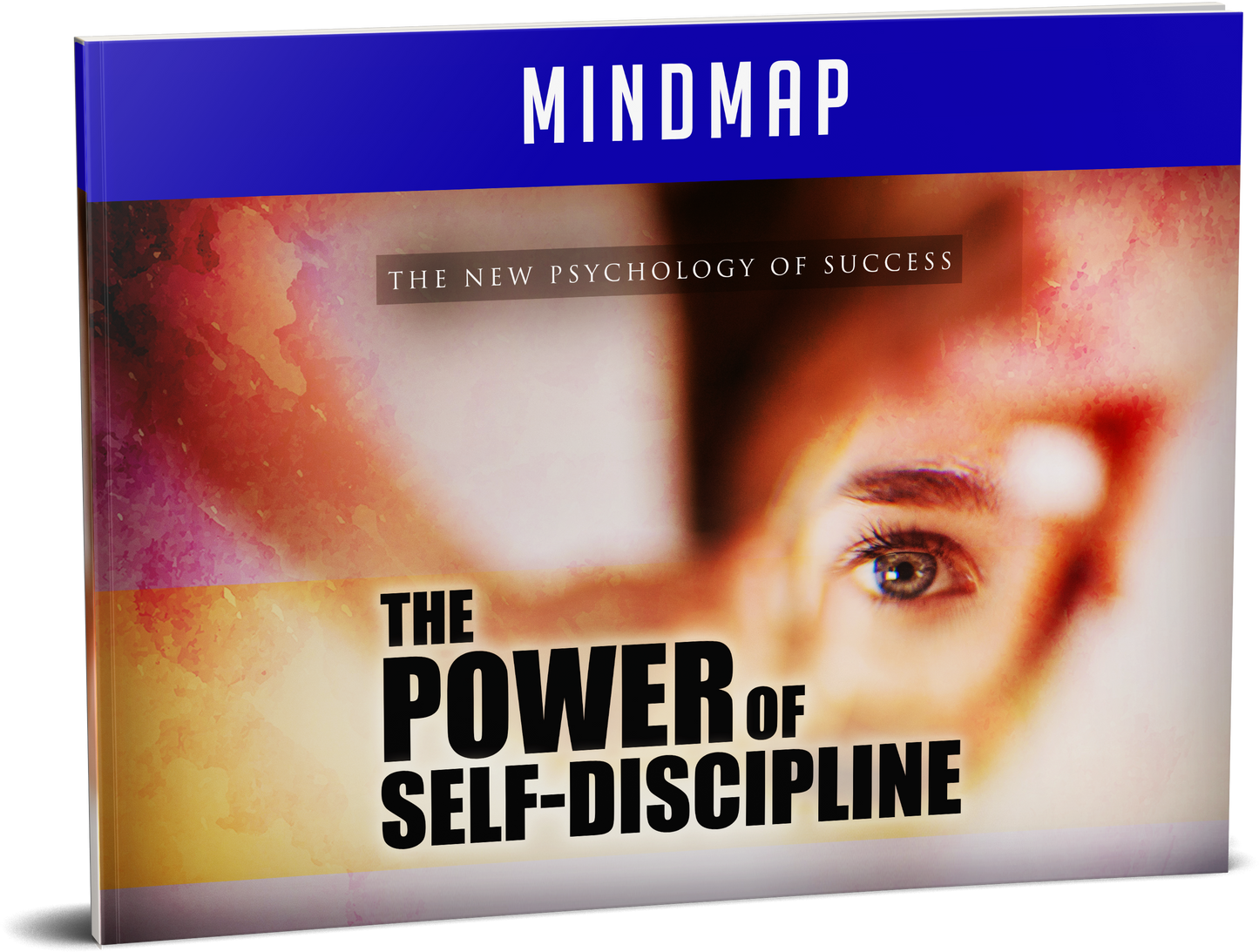 License - Power with Self Discipline