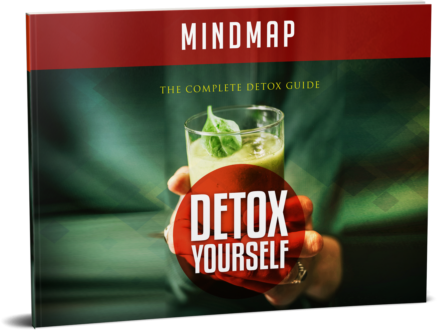 License - The Complete Detox Guide – Detox Yourself