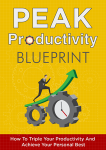 License - Peak Productivity