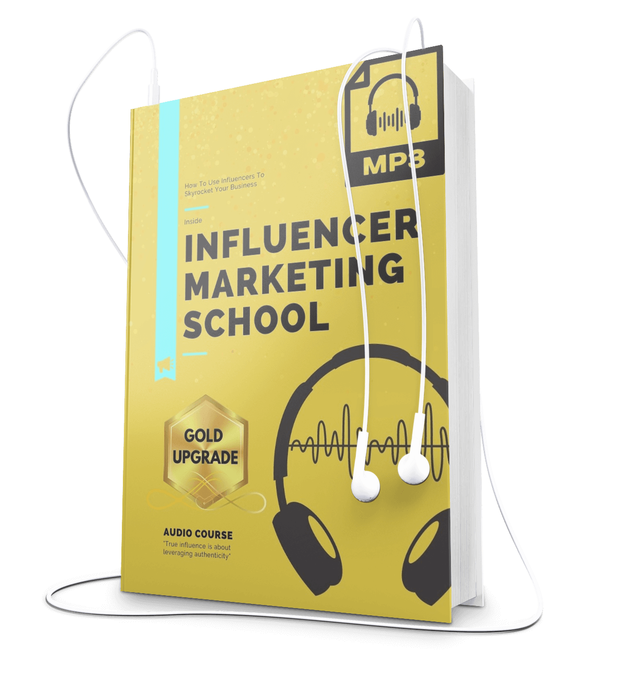 Influencer Marketing School (Influencer Contract Included)