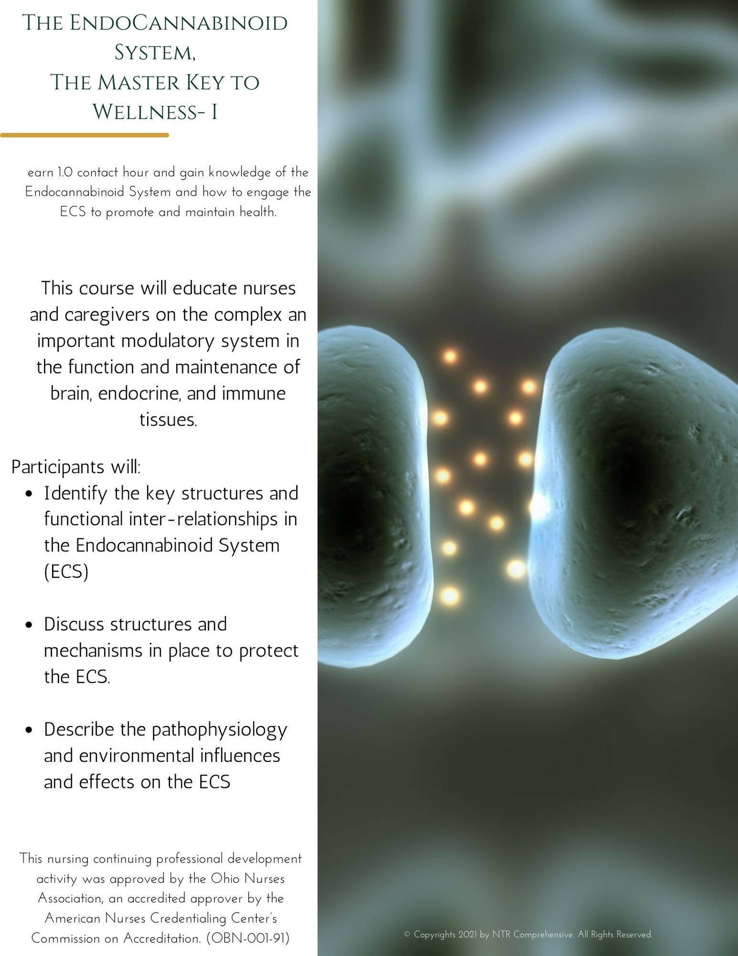 The EndoCannabinoid System, The Master Key to Wellness- I