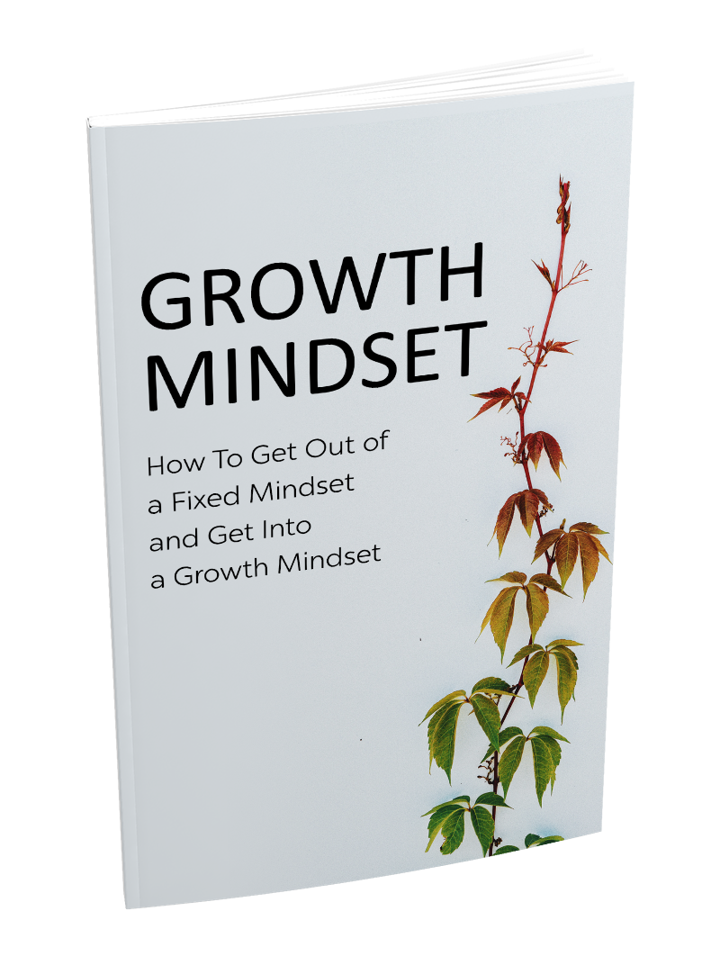 License - Growth Mindset